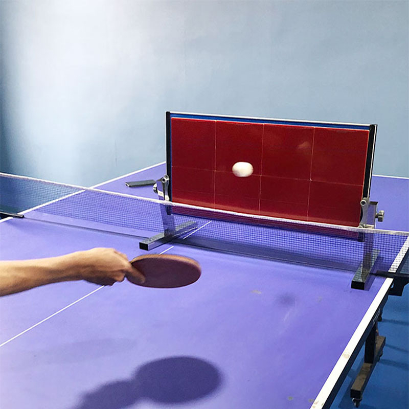 Ping Pong Ball Set - Home Table Tennis Rebound Board Ping