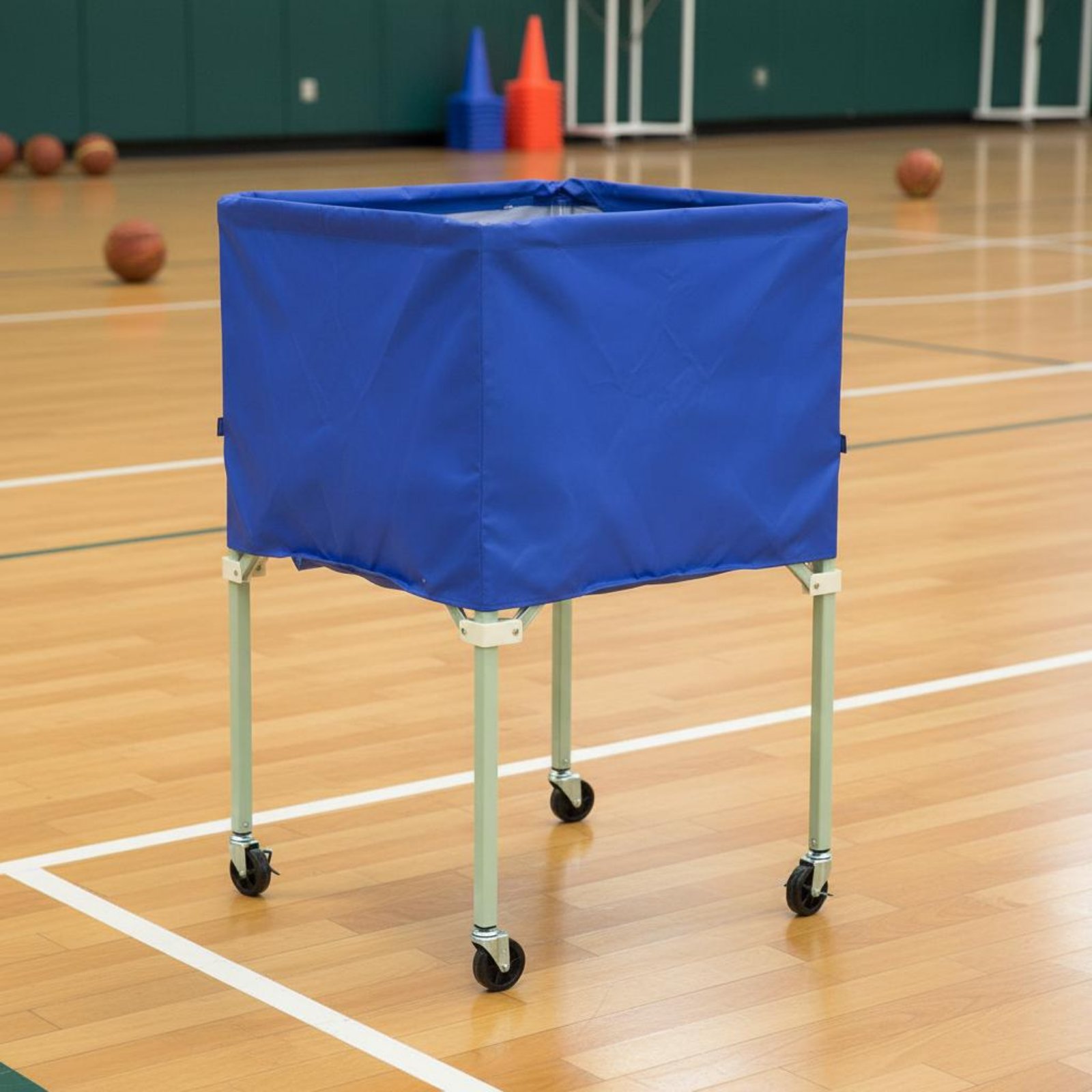 Ball Vehicle Cover Waterproof  - Sports Equipment Organizer ulasan dan harga
